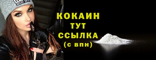 мет Снежногорск