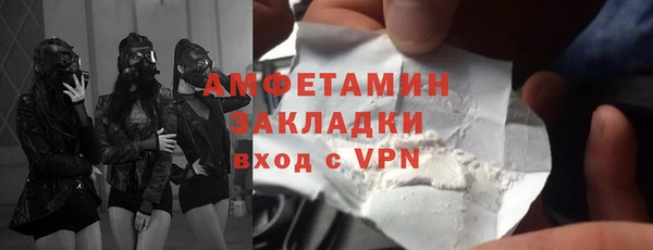 гидра Каменка