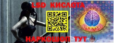 гашик Моздок