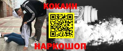 гашик Моздок