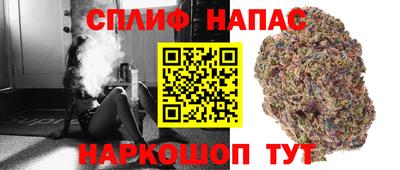 прущие крисы Можга