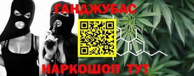 гашик Моздок