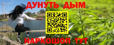 гашик Моздок