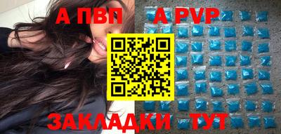 гашик Моздок
