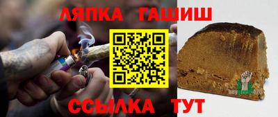 гашик Моздок